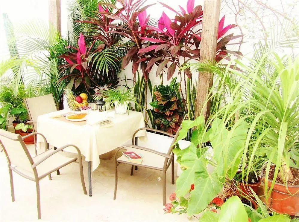 Casa Naaj Apartments Playa del Carmen Mexiko
