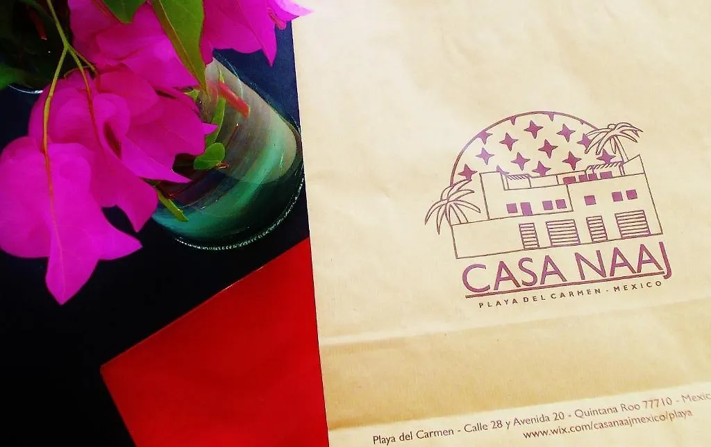 Casa Naaj Apartments 신데 델 카르멘