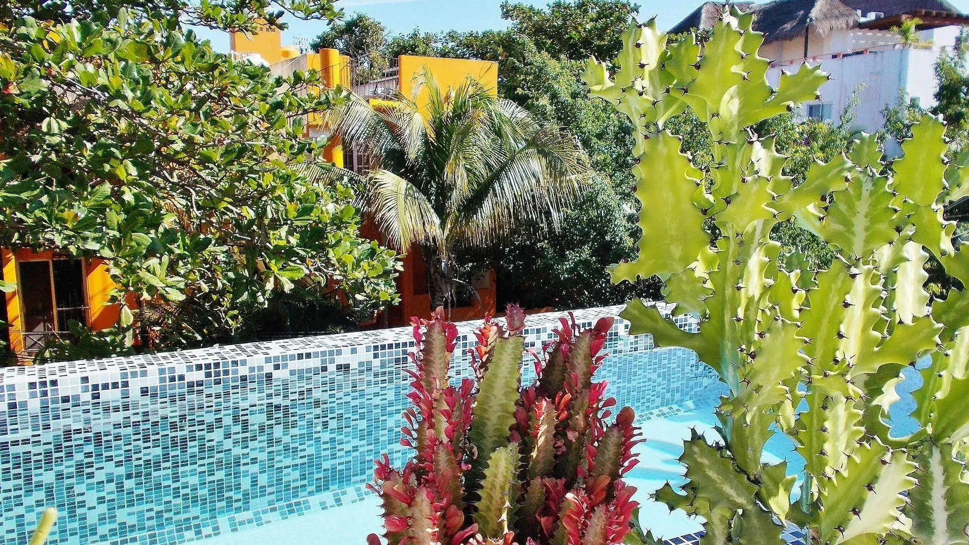 Casa Naaj Apartments 신데 델 카르멘